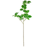 Clematis Leaf Green image 0