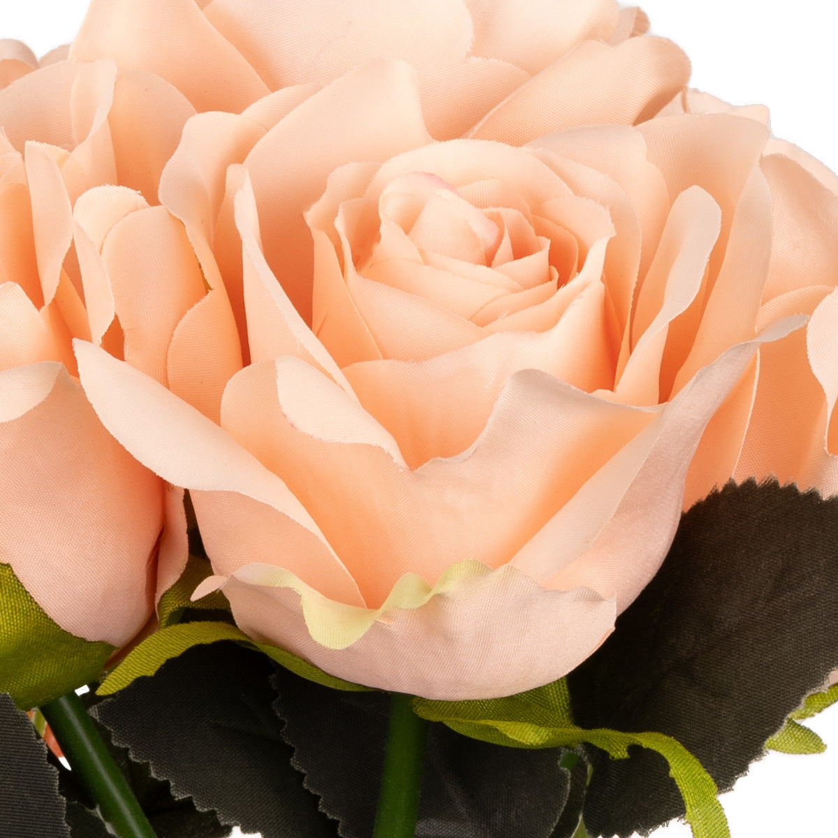 Eugenie Rose Bunch x 6 Champagne image 2