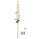 Delphinium x 26 Heads 106cm Cream image 2