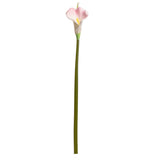 Calla Lily Pink Long Tall Stem image 0