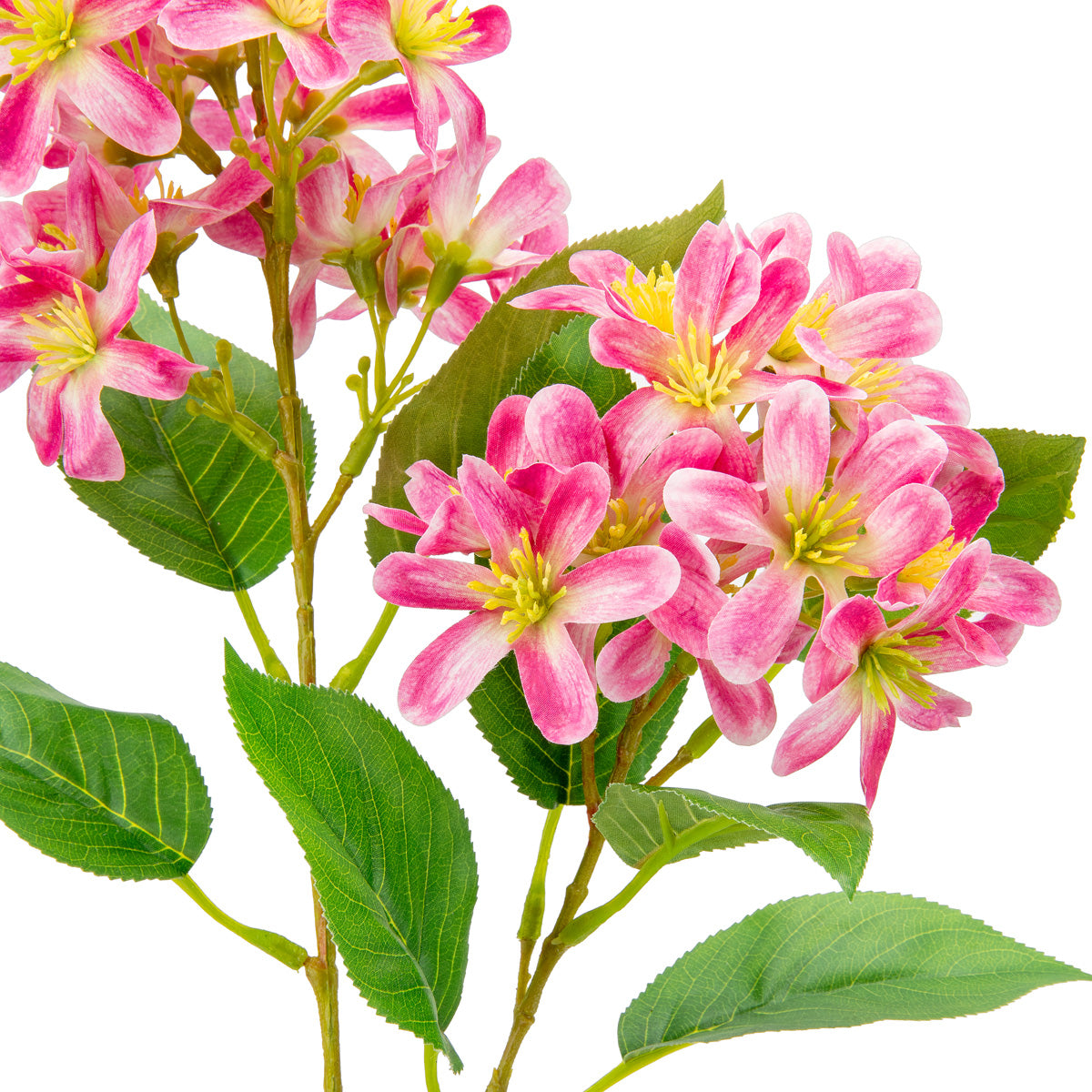Vernicia Flower Spray x 2 Dark Pink image 1