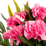 Carnation 40cm Bush Cerise Pink image 1
