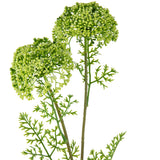 Wild Meadow Spray x 2 Green image 1