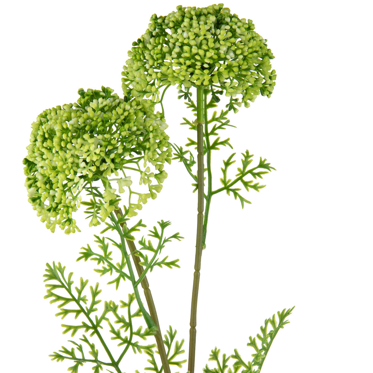Wild Meadow Spray x 2 Green image 1