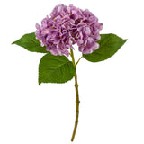 Small Head Hydrangea Two Tone Pink image 2