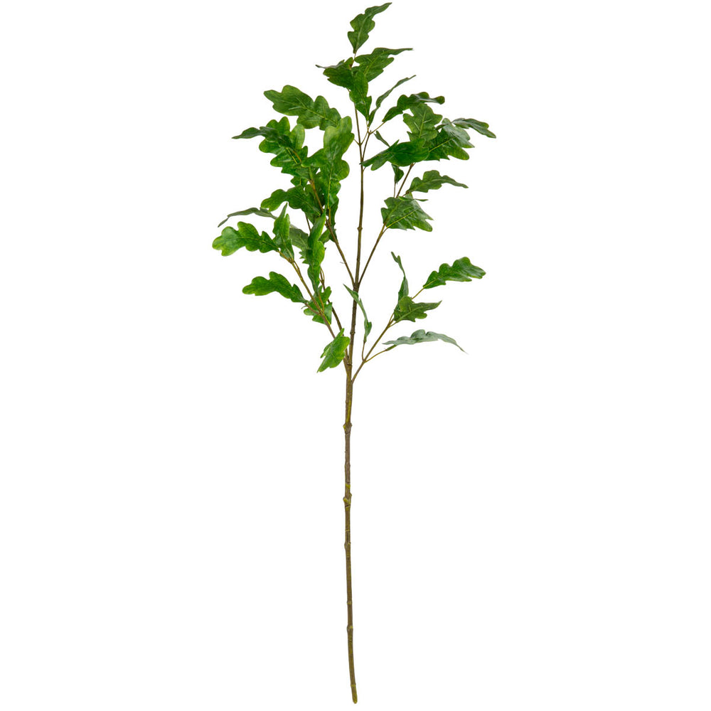 Oakleaf Spray Green image 0