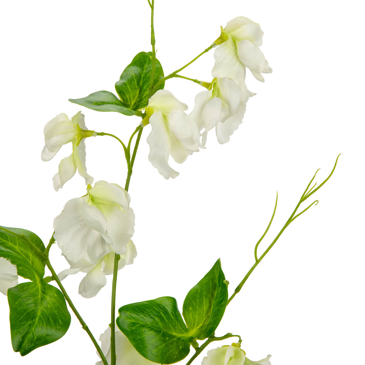 Sweet Pea Spray White image 1