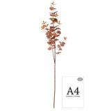 Eucalyptus Stem Brown image 1