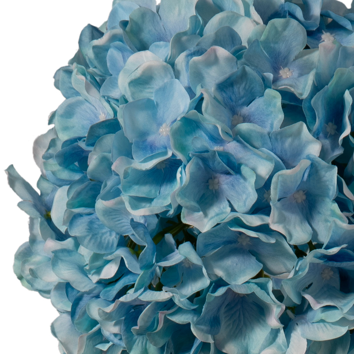 Large Head Hydrangea Light Blue 92cm image 2