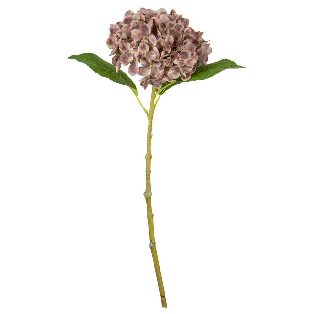 Small Head Hydrangea Dusky Pink image 0