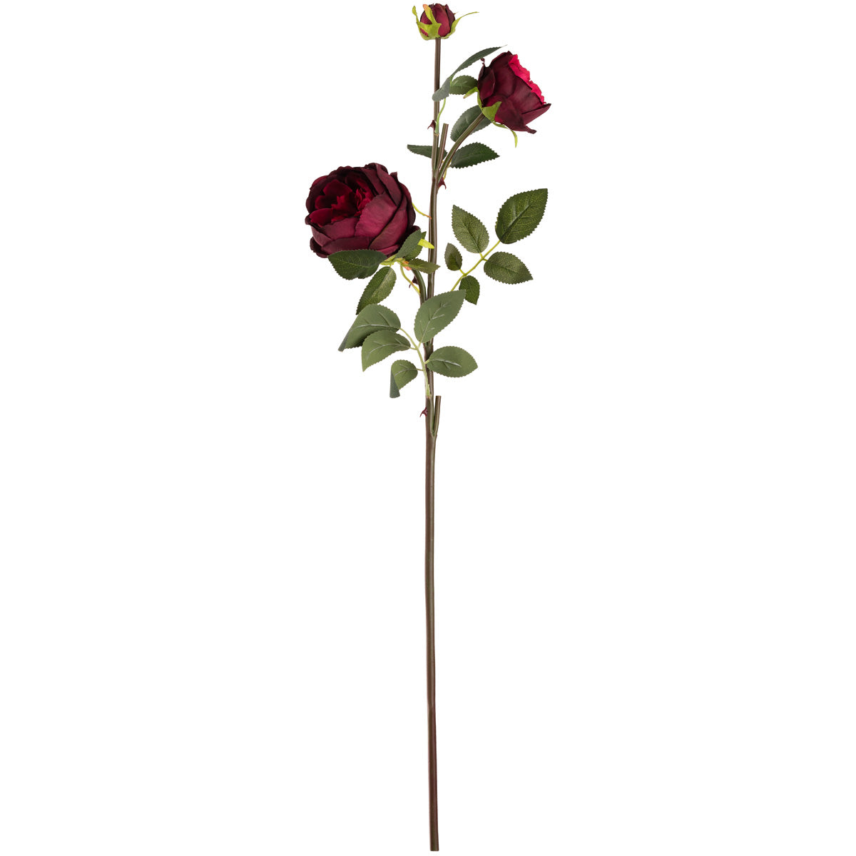 Elizabeth Garden Rose Spray x 3 Burgundy image 0