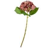 Small Head Hydrangea Vintage Rose image 0