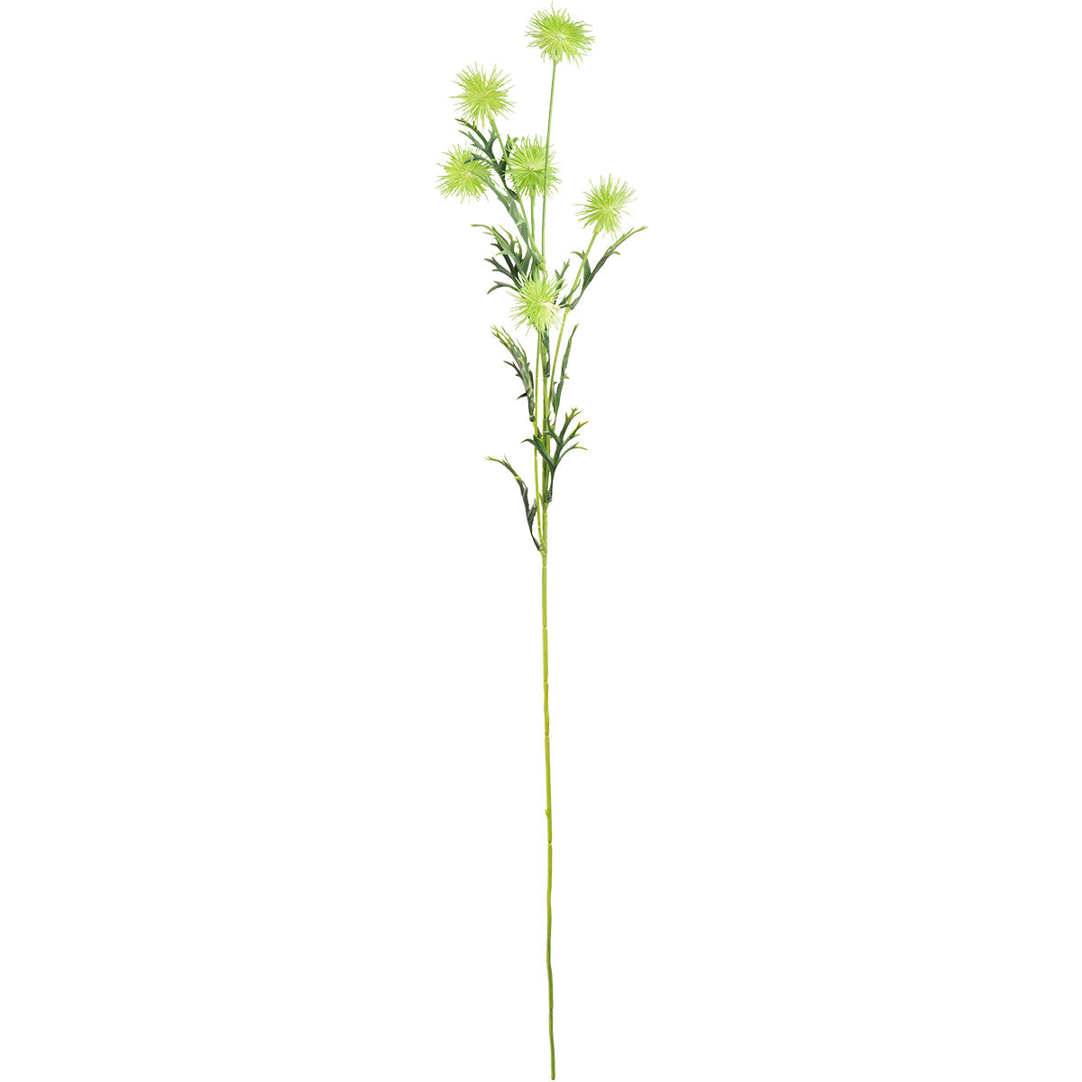 Collina Thistle Spray 80cm Green image 0