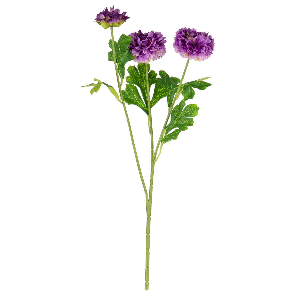 Oriental Aster Spray x 3 Dark Purple image 0