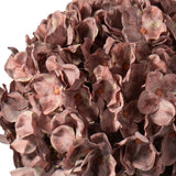 Large Head Hydrangea Dusky Pink image 2