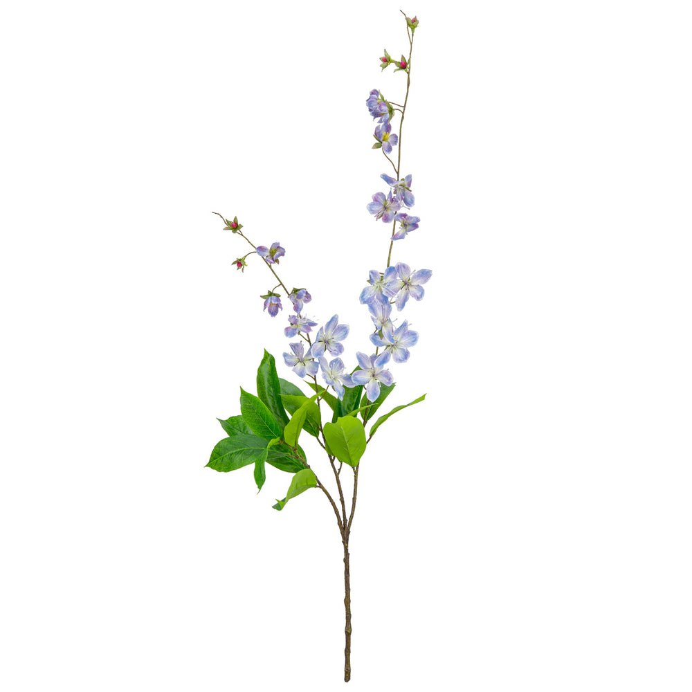 Clematis Spray x 2 Blue image 0