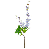 Clematis Spray x 2 Blue image 0