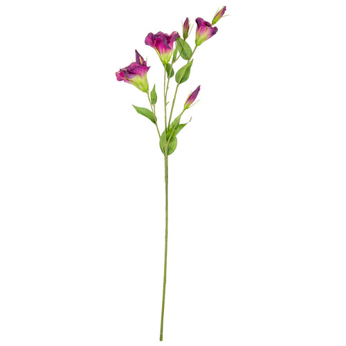 Eleganza Lisianthus Spray x 3 Plum image 0