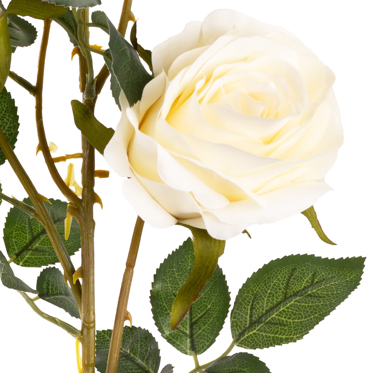 Large Charlotte Rose Spray x 3 Cream image 2