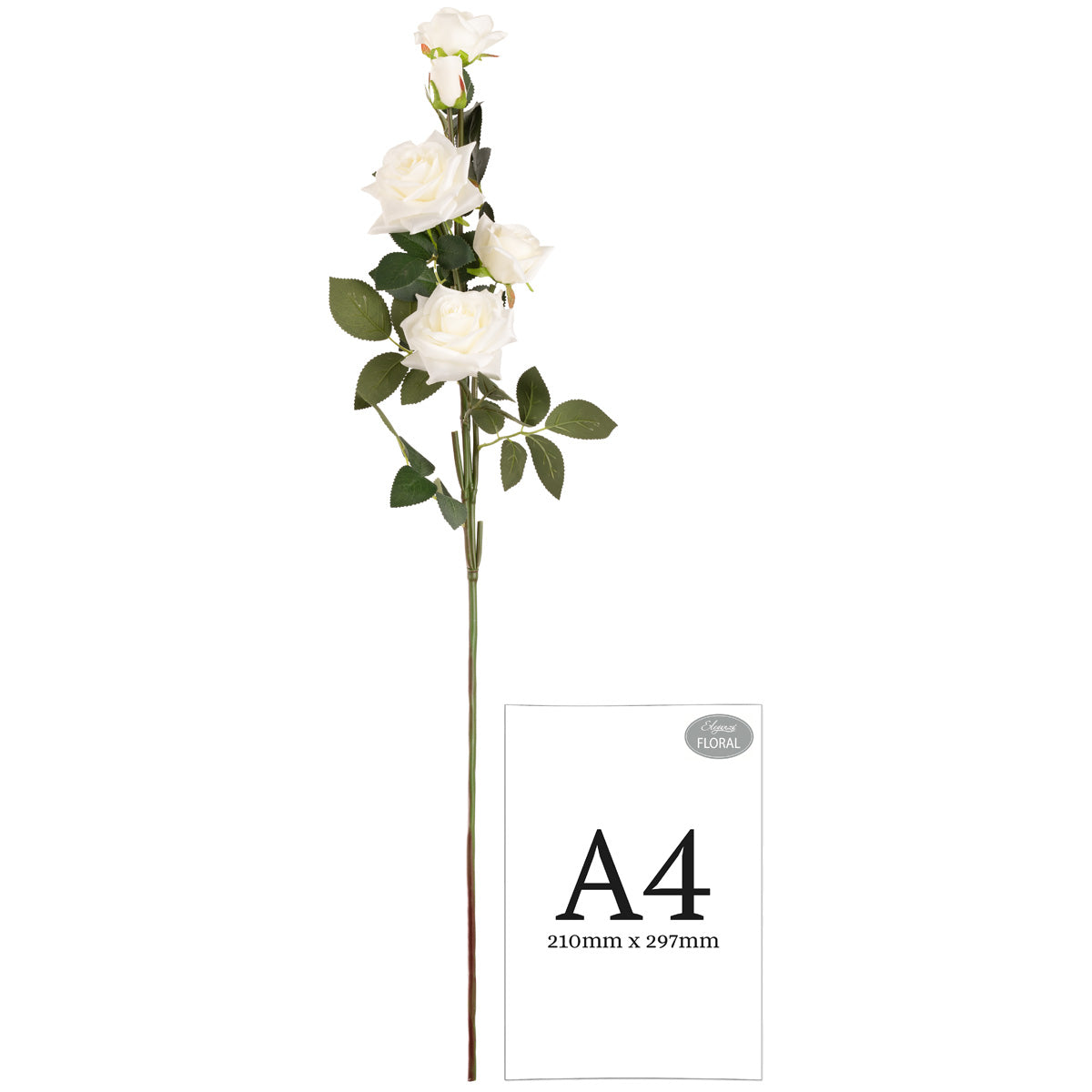 Large Diana Rose Spray x 5 White image 1