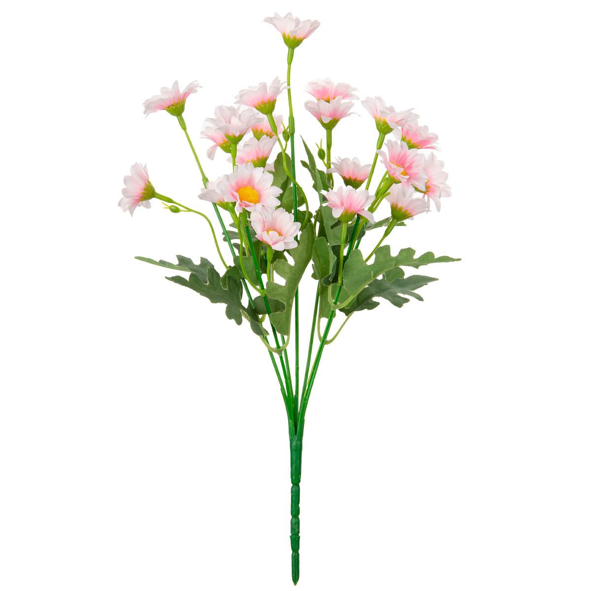 Daisy Bush Pink image 0