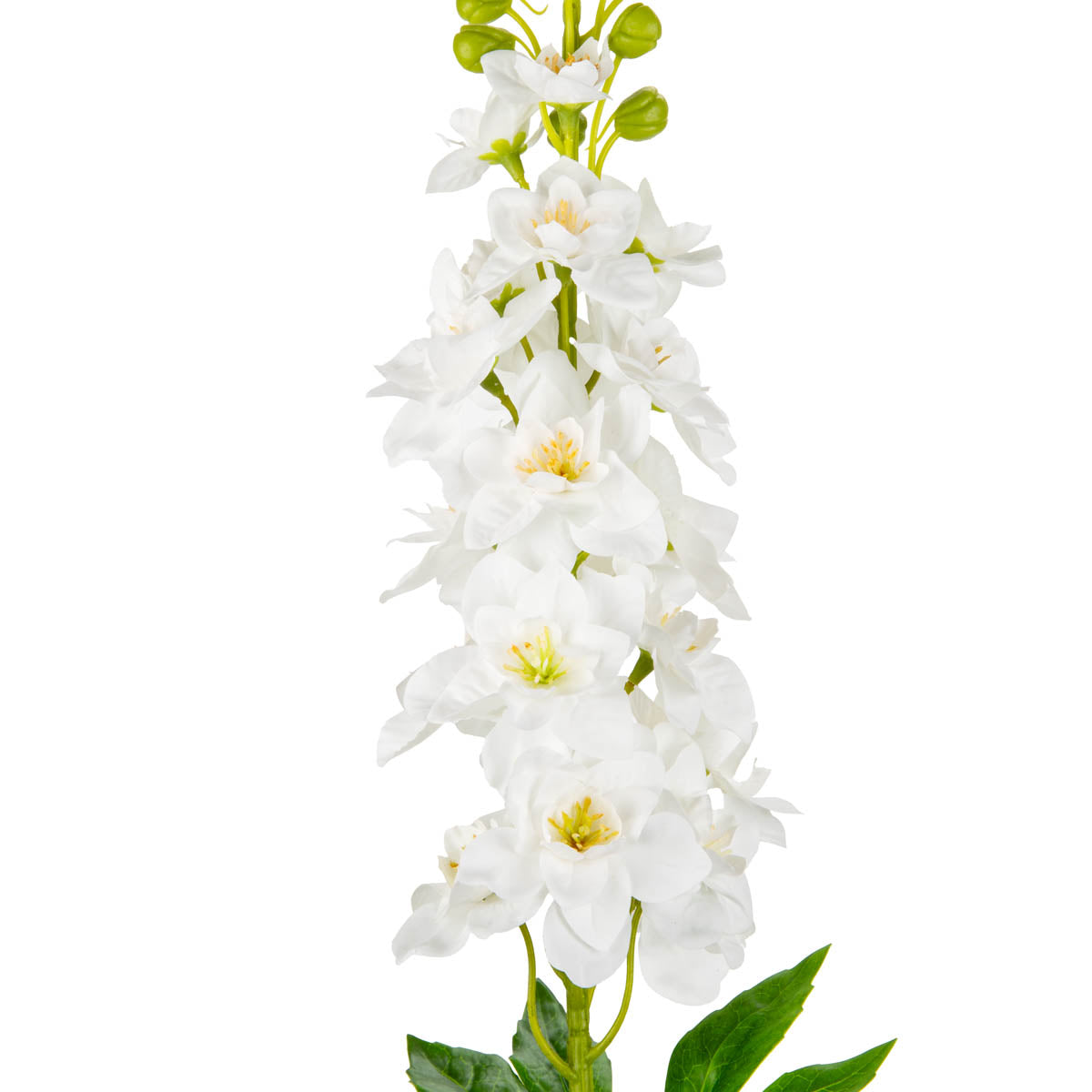 Delphinium Stem White image 1