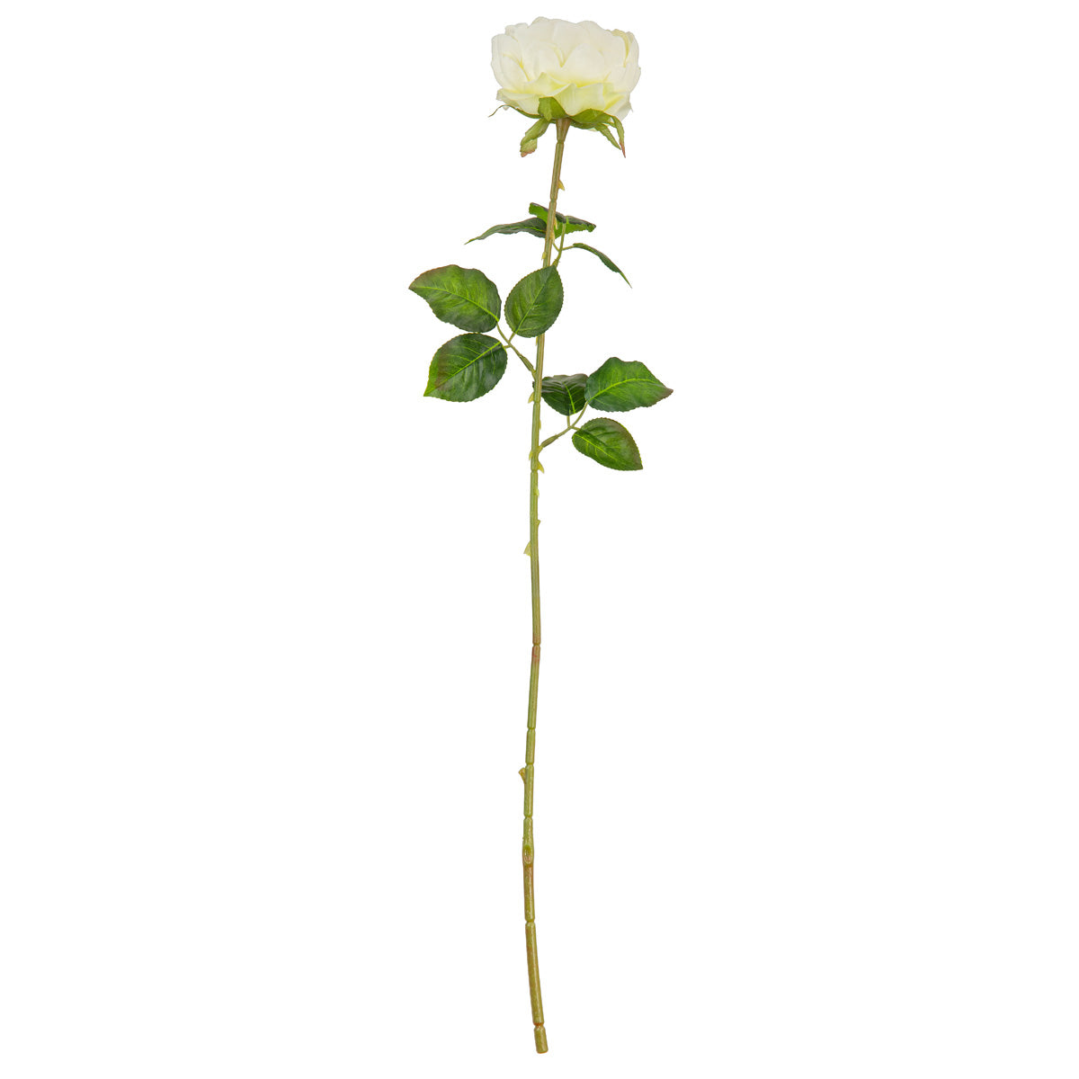 65cm Single Rose White image 0