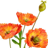 Small Poppy Spray Orange image 1