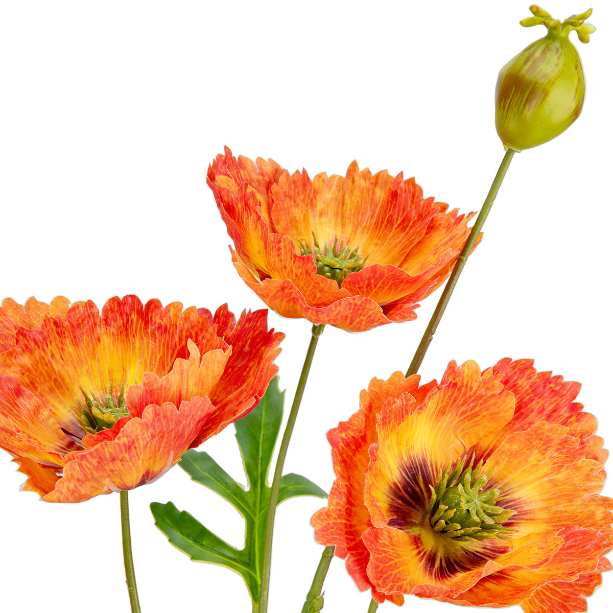 Small Poppy Spray Orange image 1