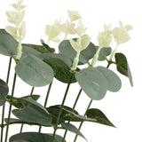 Eucalyptus Bush x 16 Green image 1
