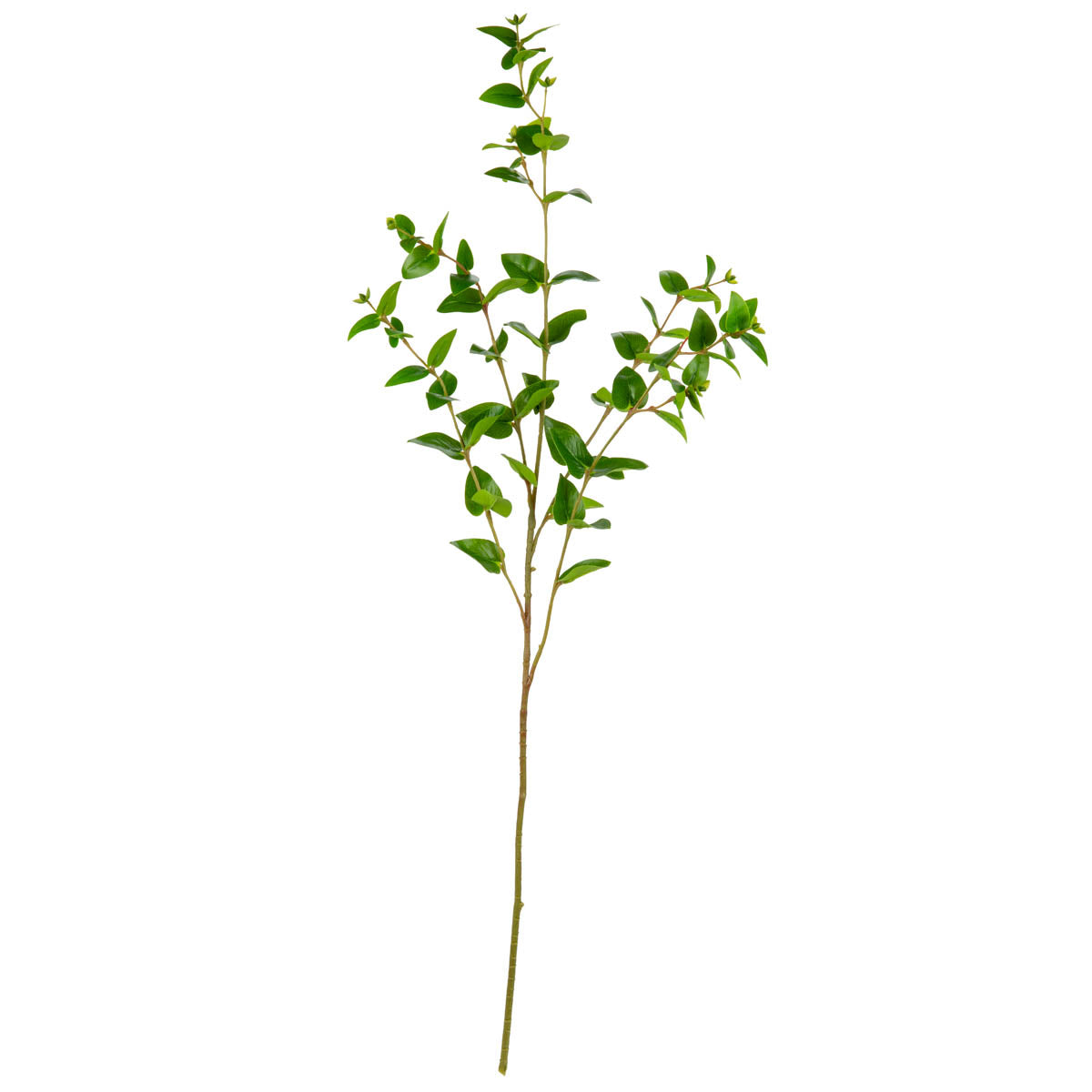 Emerald Palm Leaf Stem Green image 0
