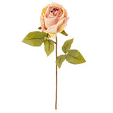 Dry Image Rose Rose Quartz image 1