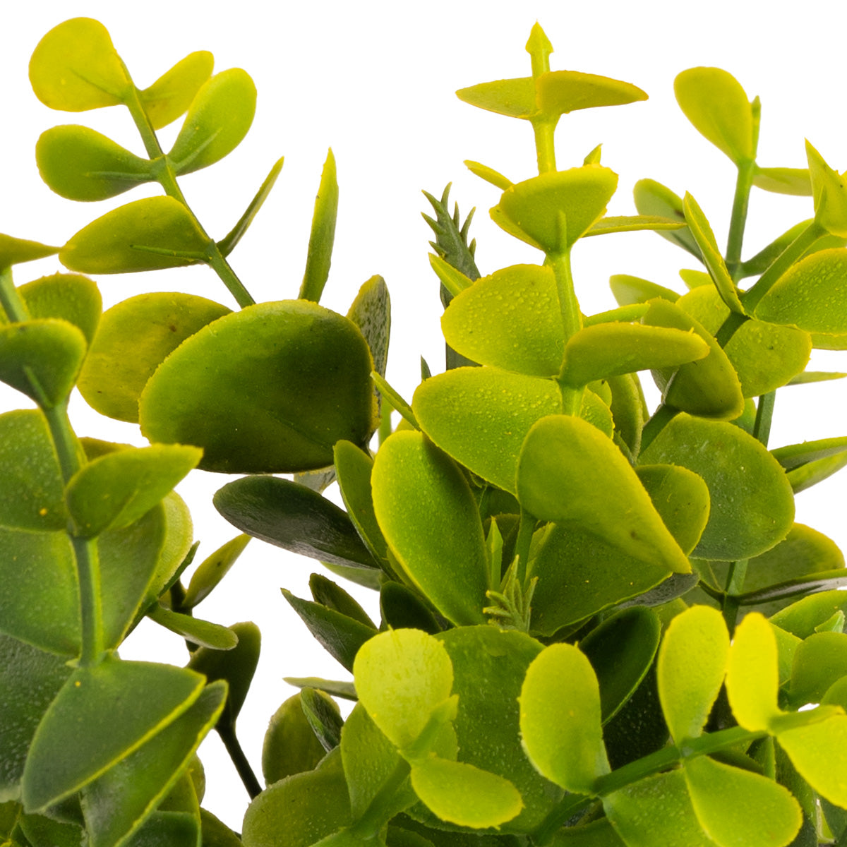 Plastic Eucalyptus Bush Small Sage Green image 2