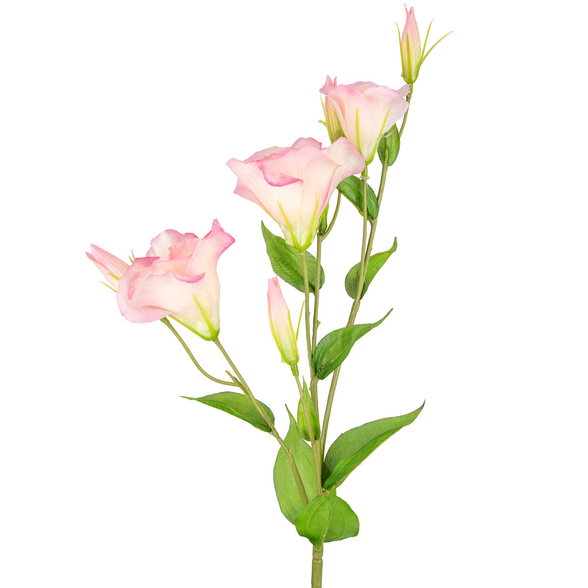 Eleganza Lisianthus Spray x 3 Light Pink image 1