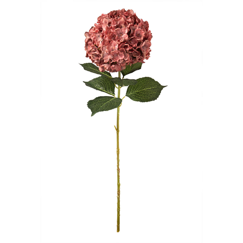 Large Head Hydrangea Vintage Rose image 0