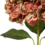 Large Head Hydrangea Two Tone Green/Pink image 1