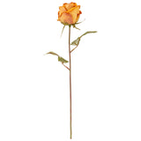 Dry Image Rose Honey Sunset image 0