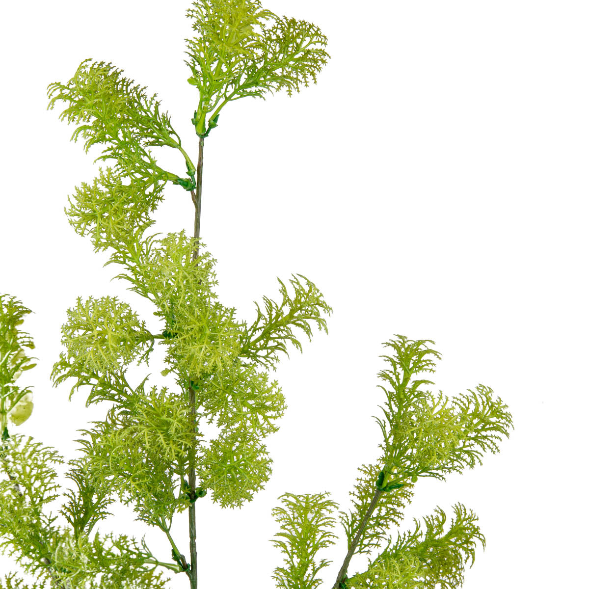 Foliage Spray 72cm Stem Dark Green image 1