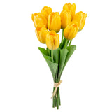 Tulip Bunch x 9 Pale Yellow image 1