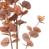 Eucalyptus Stem Brown image 2