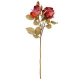Dry Image Rose Spray Vintage Wine image 0