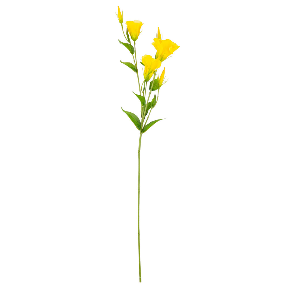 Eleganza Lisianthus Spray x 3 Yellow image 0