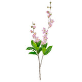 Clematis Spray x 2 Dark Pink image 0