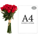 Beatrice Rose Bud Bunch x 15 Red image 1