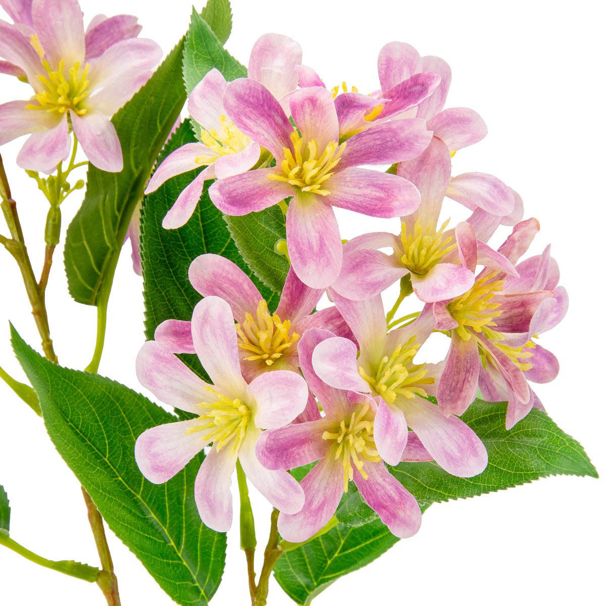 Vernicia Flower Spray x 2 Light Pink image 1
