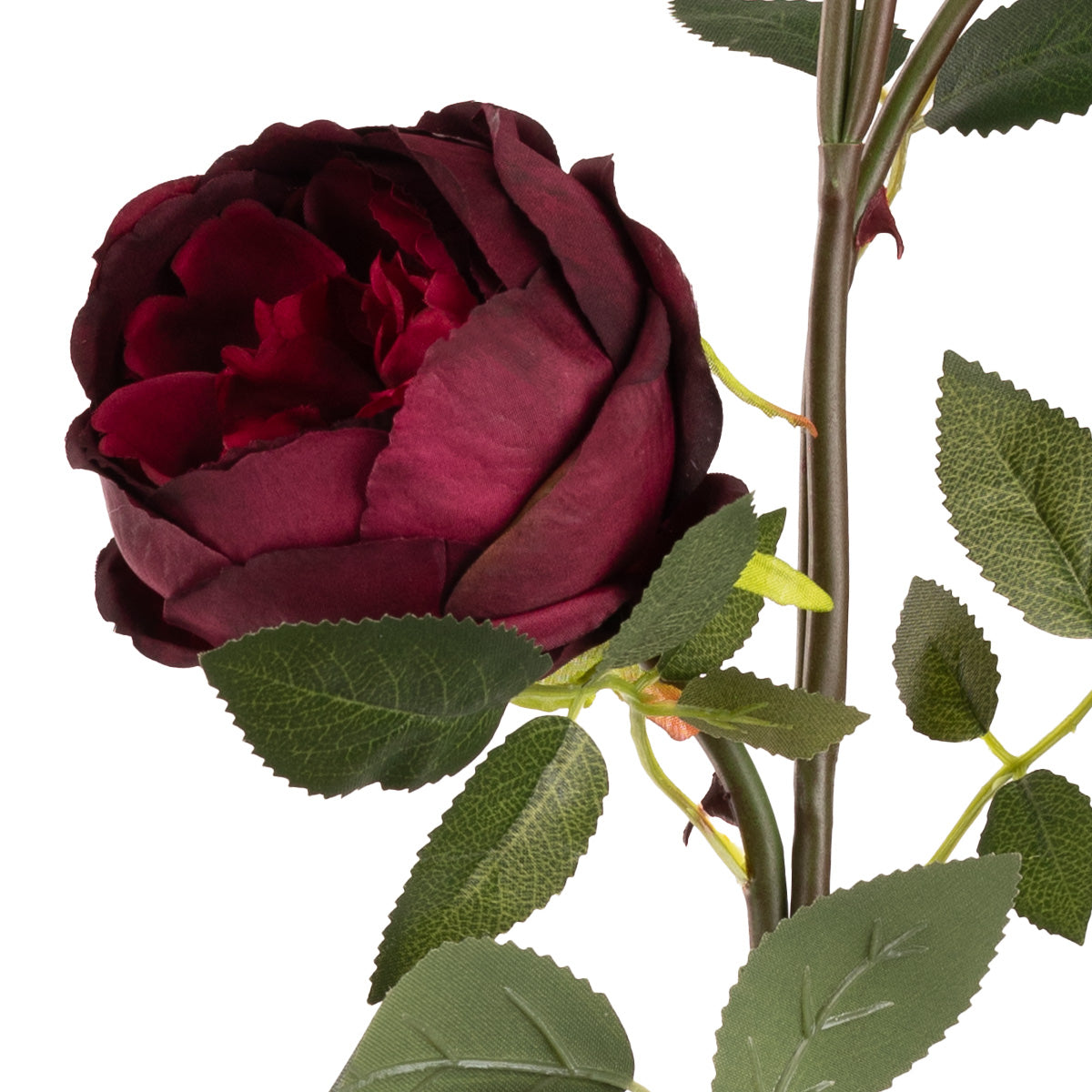 Elizabeth Garden Rose Spray x 3 Burgundy image 1