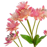 Astrantia Spray 61cm Pink image 3