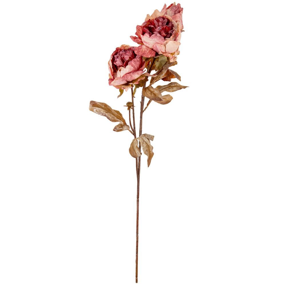 Dry Image Peony Vintage Rose Pink image 0