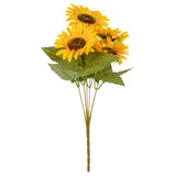 Sunflower Bush image 2