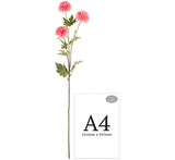 Catherine Chrysanthemum Spray x 3 Pink image 1